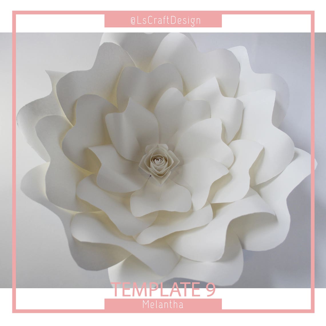 Giant Paper Flower SVG Template, DIY Melantha #9 (Digital Download) - image 3