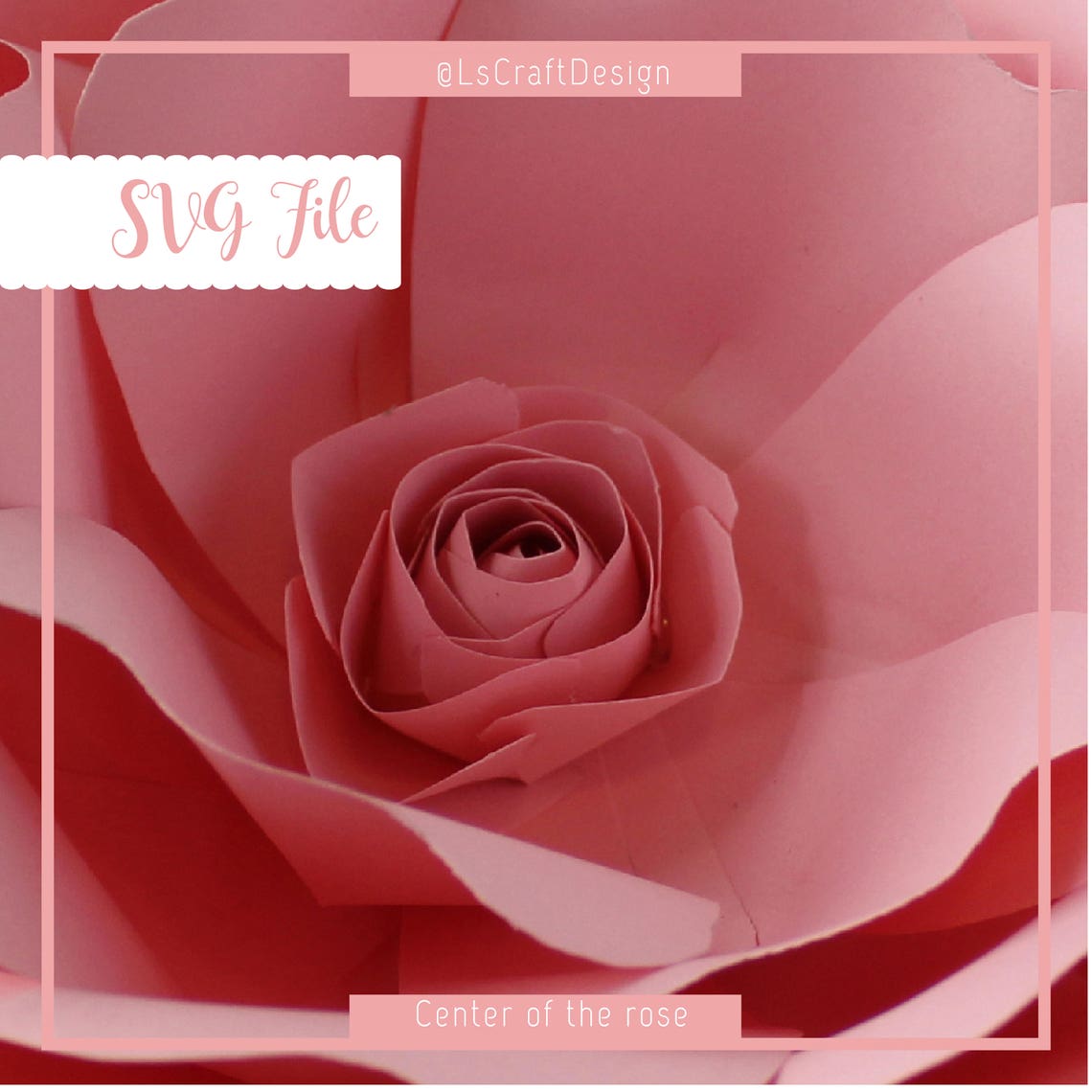 Paper Flower Center Template, Rose SVG, Cricut Silhouette (Digital Download) - image 6