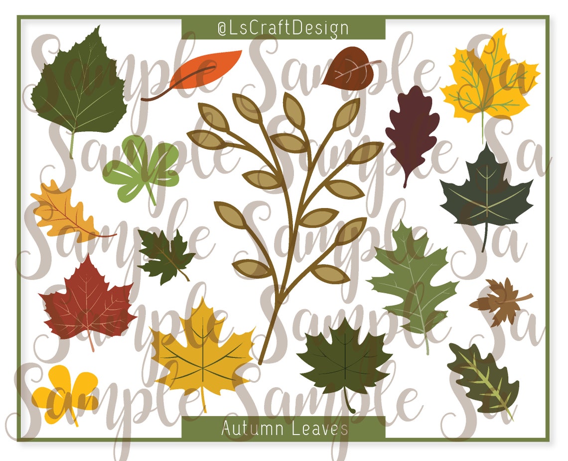 Autumn Leaves SVG Set, Paper Flower Leaves, Cricut/Silhouette (Digital Download) - image 1
